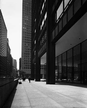 Richard J. Daley Center and Dearborn Street