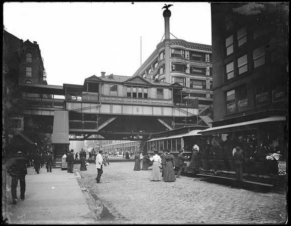 ICHi-19214