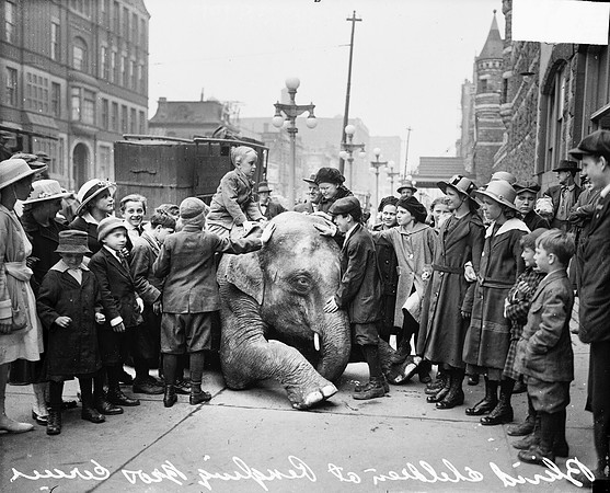 Blind children standing on a sidewalk, one is sitting on the back of a kneeling elephant from the Ringling Brothers Circus
