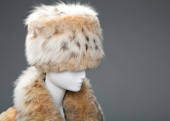 Fur coat by N. H. Rosenthal Furs, Inc.
