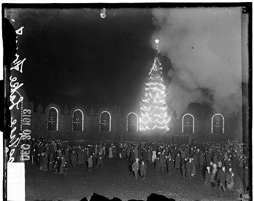 Lighted Christmas trees at night in Grant Park and the lakefront, many people are walking in front the trees