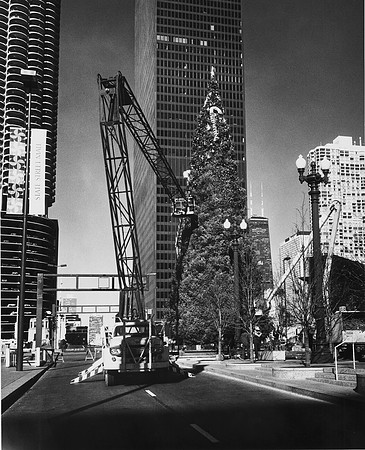 Municipal Christmas tree installation