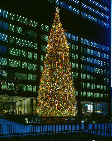 Christmas tree at the Daley Plaza (HB-25252-Y8)